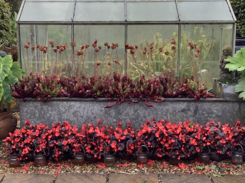 Bleak Hill Nursery & Garden